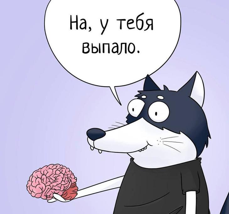 Каждый раз, когда я провожу рукой по коту, моя рука проходит 35 см анекдоты,веселье,приколы,смех,юмор