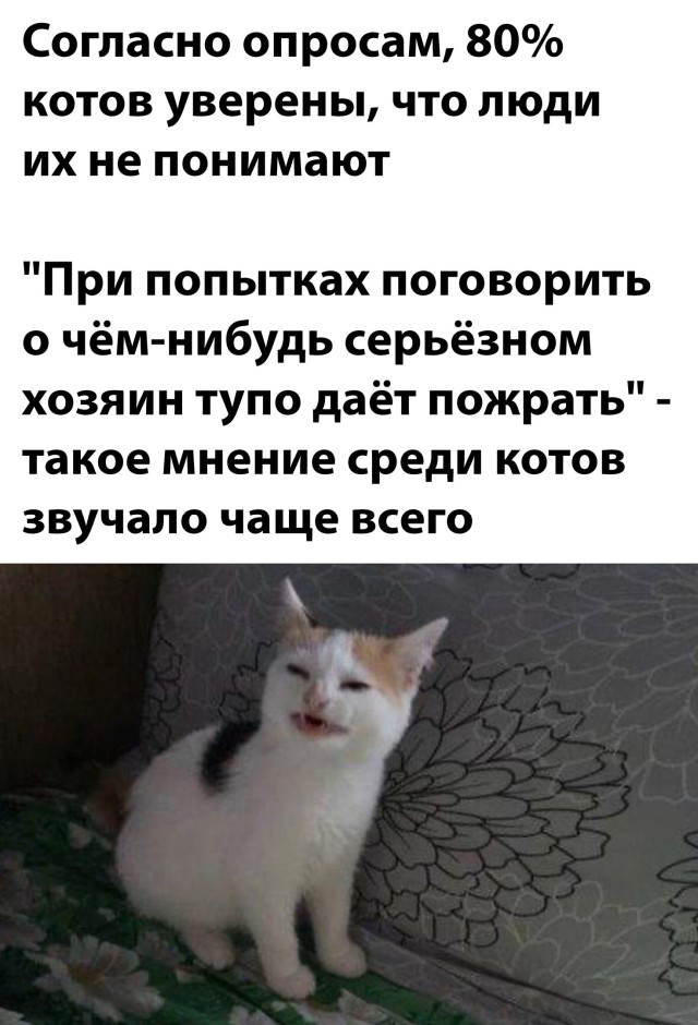 Подборка прикольных картинок  приколы,смешные картинки,юмор