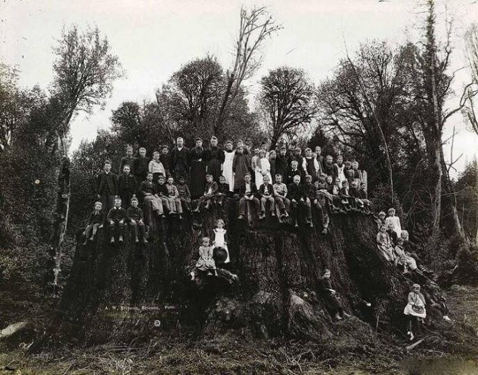 36 самых редких исторических фотографий 