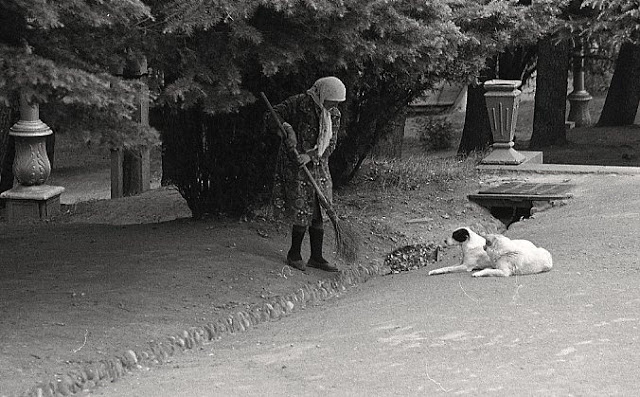 Повседневная жизнь в советской Грузии 1976 года в фотографиях шведского фотографа Грузия,история