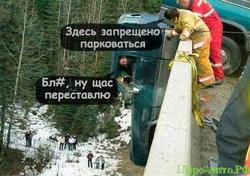 Посадил на ночь собаку охранять машину Посадил на ночь собаку охранять машину авто и мото