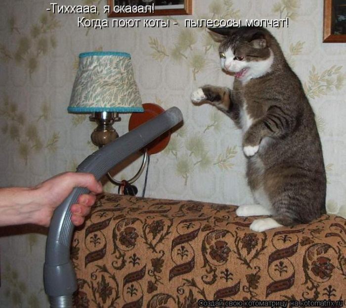 Мысли вслух :)