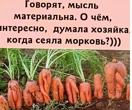 У чукчей были лайки задолго до фейсбука У чукчей были лайки задолго до фейсбука очень, время, каждый, отвечает, спрашивает, будет, который, печень, которого, когданибудь, сказал, какие, маленький, больше, милый, подумал, завтра, пишет, Через, Почему