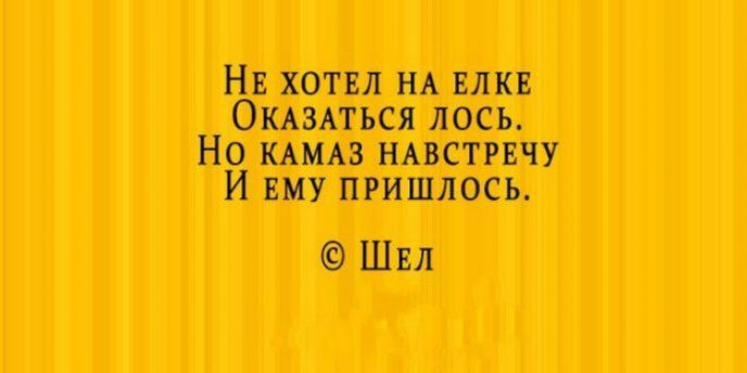 Стихи- депресняшки, которые вопреки всей логике поднимают настроение приколы