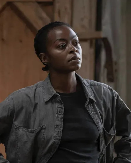 Этнические актёры Химеш Патель и Даниэль Дедуайлер сыграют главные роли в перезапуске 