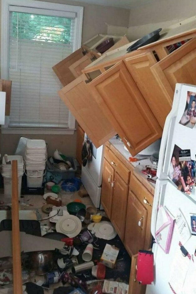 ������� �������� �� ����