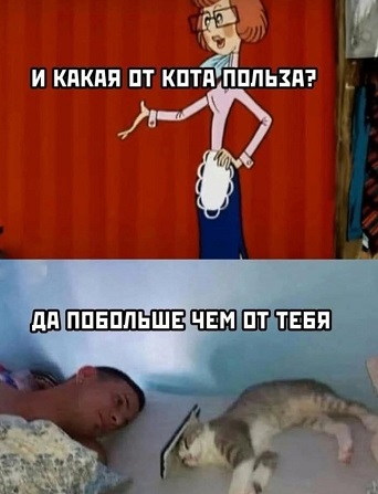 Анекдоты с картинками и баянами Московская обл,[807356]