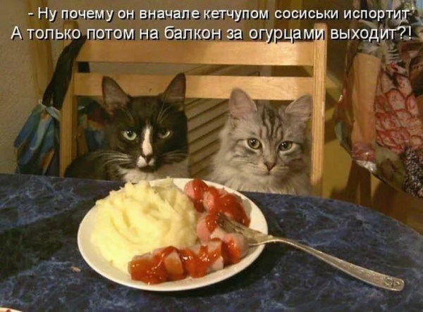 Лекарство оказалось поддельным, и только поэтому больной выжил 