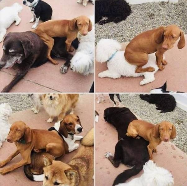 Новая подборка прикольных картинок Новая подборка прикольных картинок смешные картинки