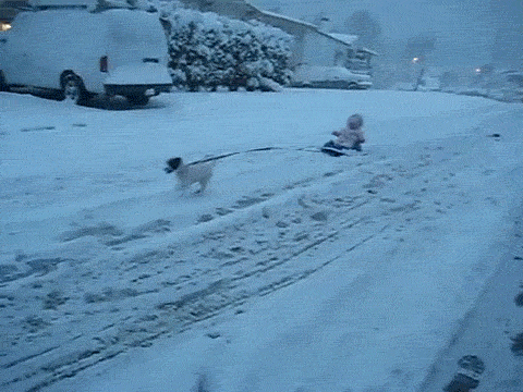 Подборка прикольных и веселых гифок Подборка прикольных и веселых гифок