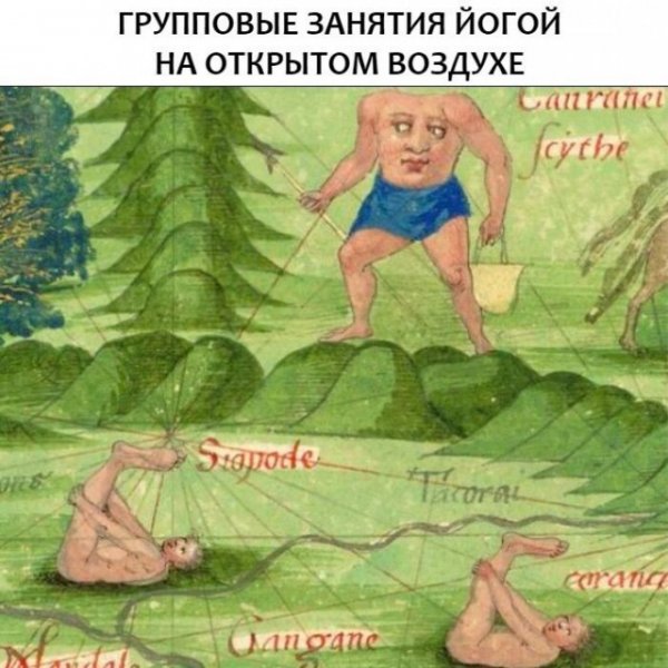 Фитнес и 