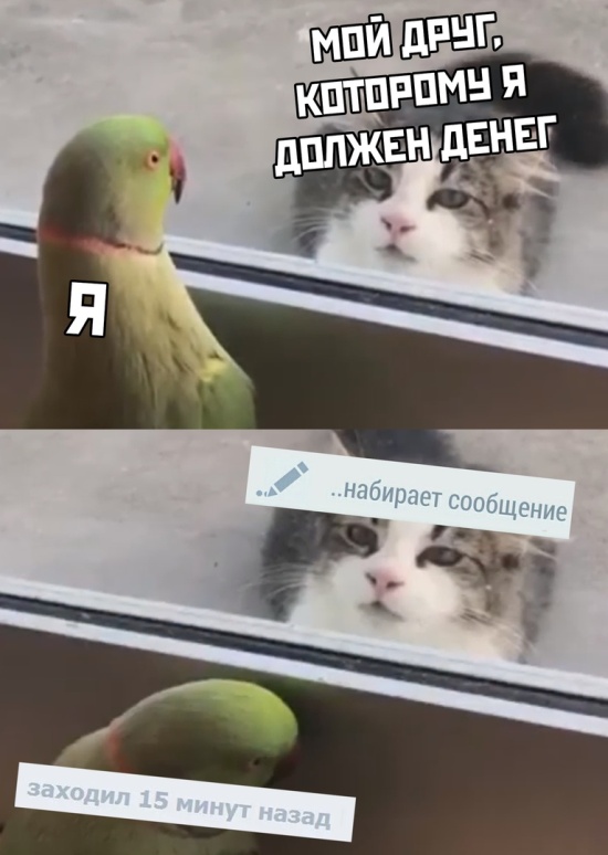 Подборка смешных картинок  смешные картинки