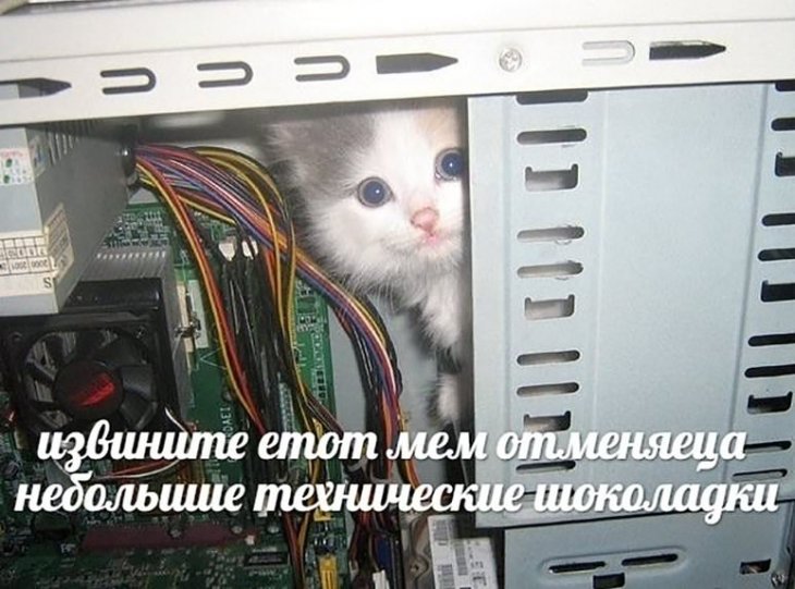 Свеженькие мемы и приколы Свеженькие мемы и приколы