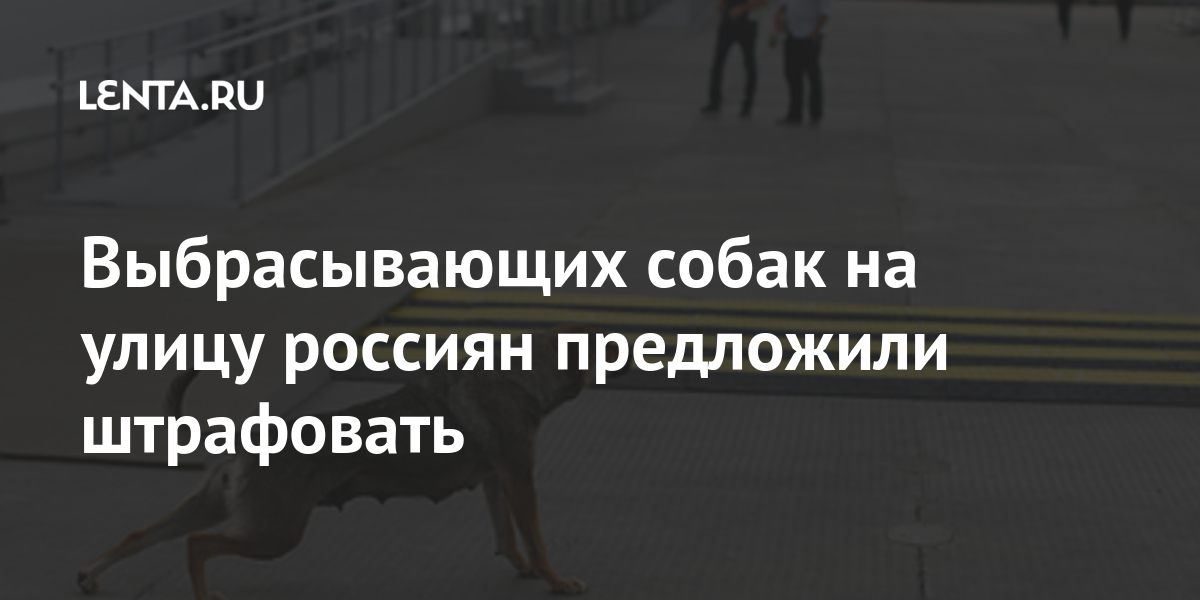 Выбрасывающих собак на улицу россиян предложили штрафовать Выбрасывающих собак на улицу россиян предложили штрафовать животных, бездомных, собак, домашних, питомцев, Сенатор, чиновник, собаку, несчастную, выкинут, следующий, одной, отловить, «Можно, улицах, мнение, выразил, проблему, решить, невозможно