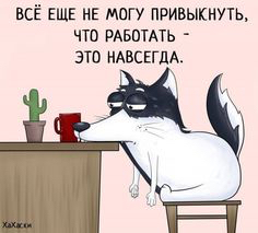 Тараканов в моей голове сожрала белочка Тараканов в моей голове сожрала белочка анекдоты,веселые картинки,демотиваторы,юмор