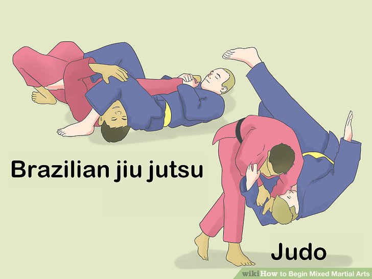 Image titled Begin Mixed Martial Arts Step 2