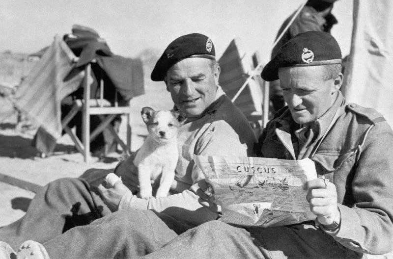 Хроники Второй мировой войны: Северо-Африканская кампания Хроники Второй мировой войны: Северо-Африканская кампания история