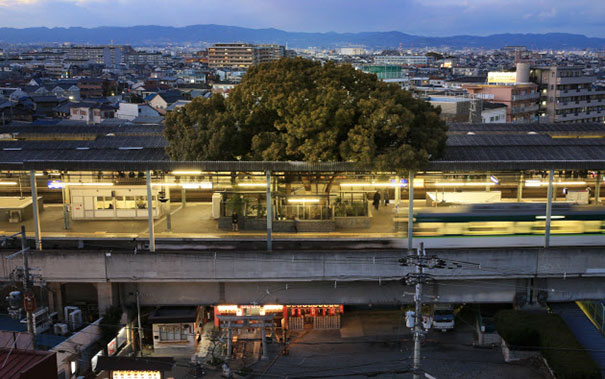 train-station-700-year-old-tree-kayashima-japan-2