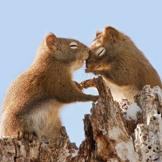 Написала письмо Деду Морозу. Отдала мужу. Жду веселые картинки