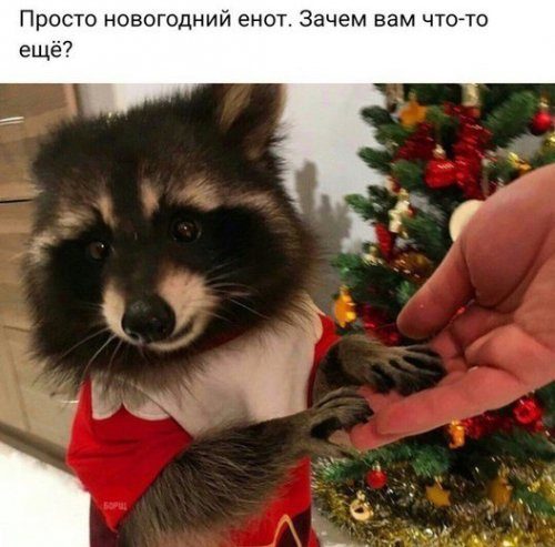 Прикольные анекдоты дня для всех