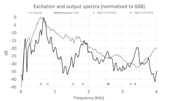 Учёные воспроизвели голос 3000-летней мумии Учёные воспроизвели голос 3000-летней мумии