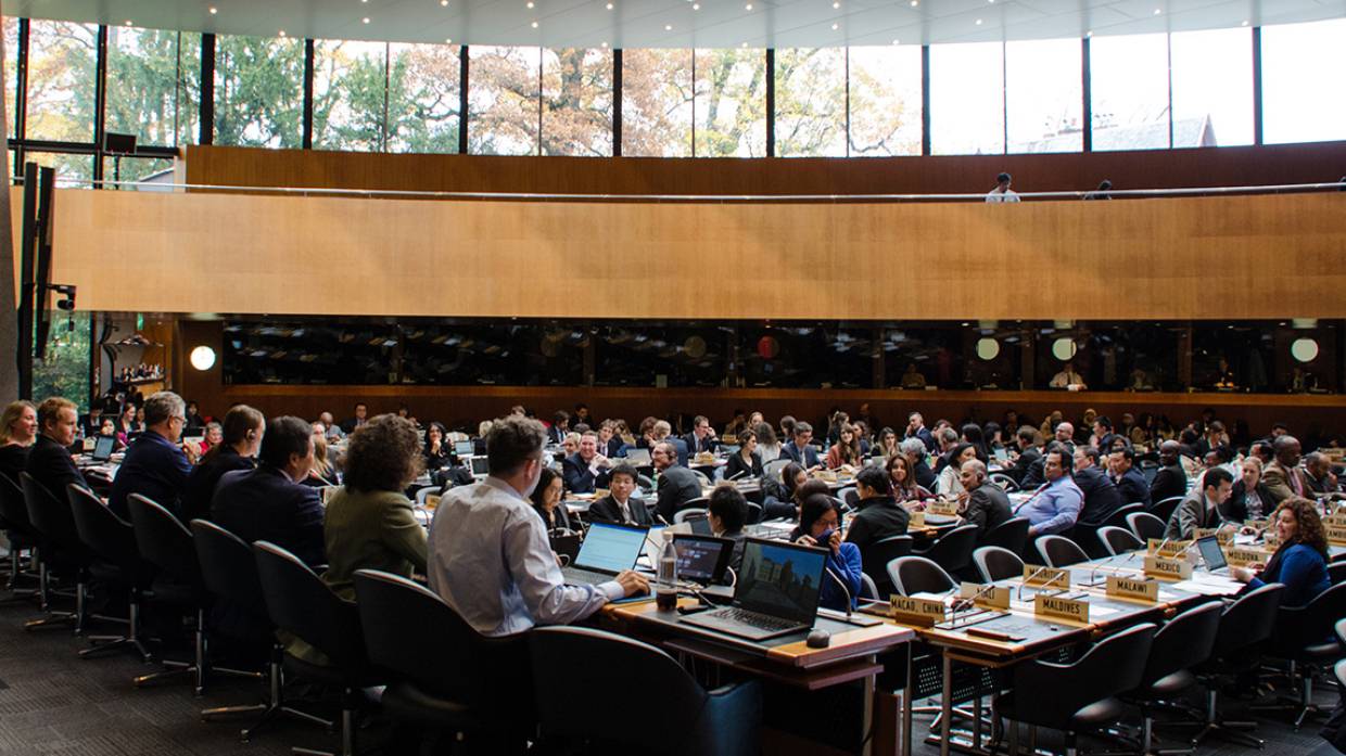 Страсти по ВТО: американские власти завидуют успехам России из-за импортозамещения Экономика