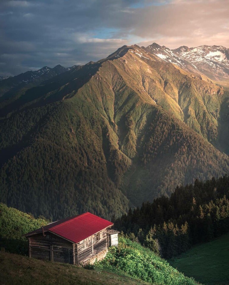 Замечательные и редкие фотографии из сети приколы,смешные картинки,фото приколы