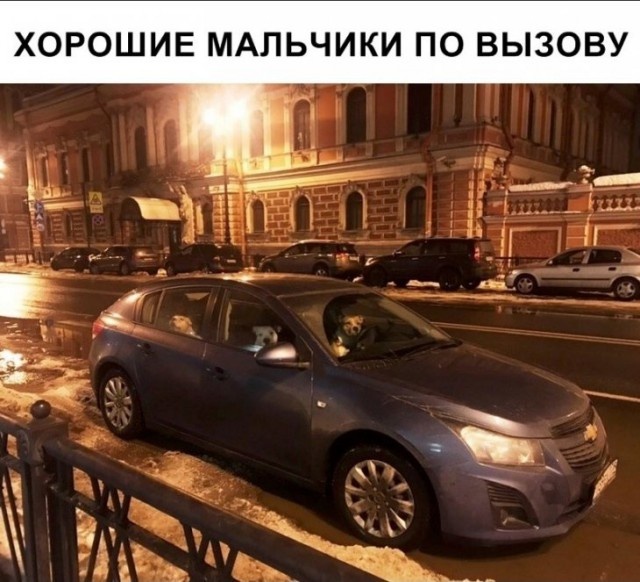 Подборка интересных и веселых картинок №66 демотиваиторы