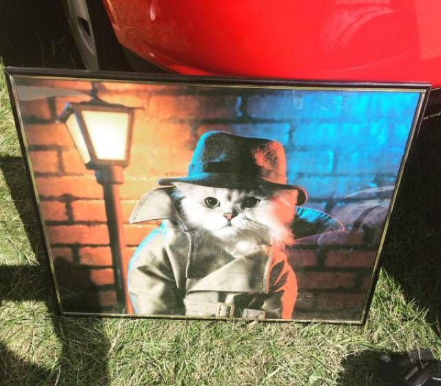 Пусть он ходит везде с тобой, там поймешь, кто такой..) веселые картинки