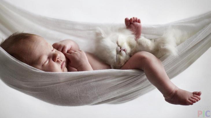 Милейший пост о самых сладких снах Милейший пост о самых сладких снах животные,Истории из жизни,позитив,Смешные животные