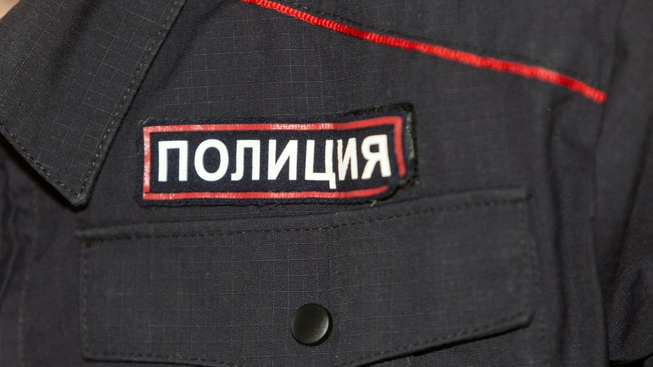 Полицейские задержали муниципального депутата Илью Яшина Происшествия