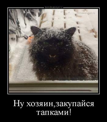 Смешные, прикольные и забавные демотиваторы со смыслом Смешные, прикольные и забавные демотиваторы со смыслом