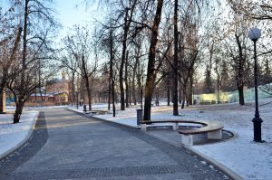 Круглый стол на экологическую тематику соберут сотрудники исторической библиотеки. Фото: Анна Быкова