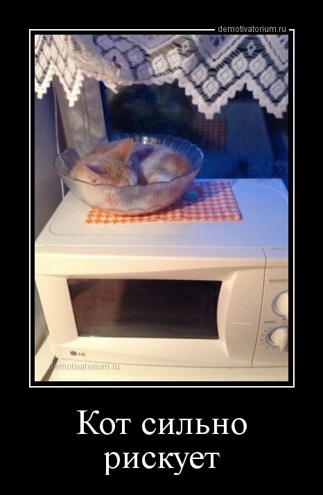 Подборка веселых вечерних демотиваторов со смыслом Подборка веселых вечерних демотиваторов со смыслом