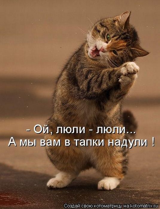 Мысли вслух :)