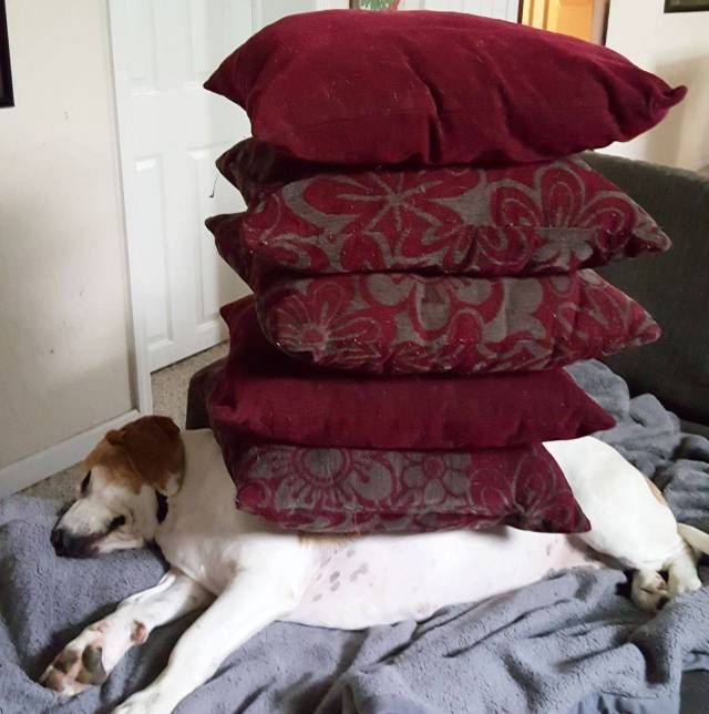 Забавные картинки и смешные фотографии для улыбки и позитива Забавные картинки и смешные фотографии для улыбки и позитива приколы,угарные фотки,фото приколы,шикарные фотографии,юмор