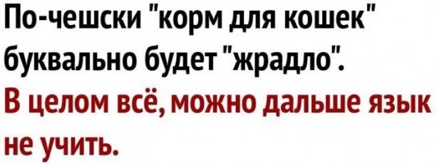 Вопрос холостяка: а макароны обязательно варить до полного выкипания воды?