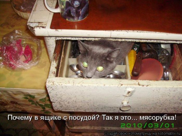 Мысли вслух :)