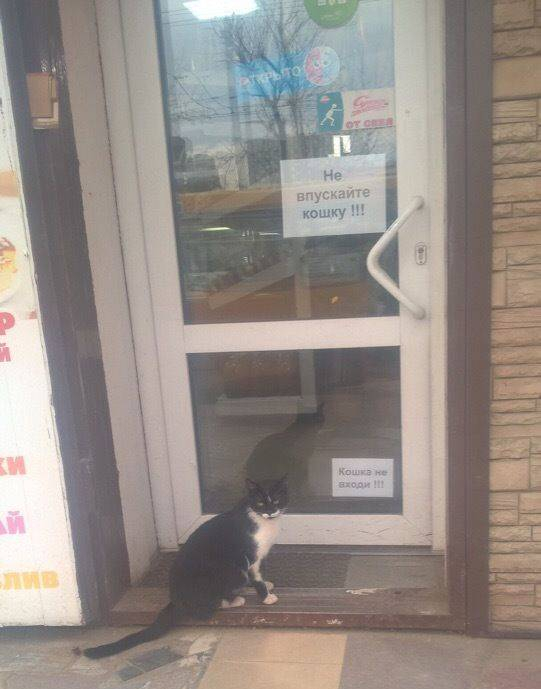 Пусть он ходит везде с тобой, там поймешь, кто такой..) веселые картинки