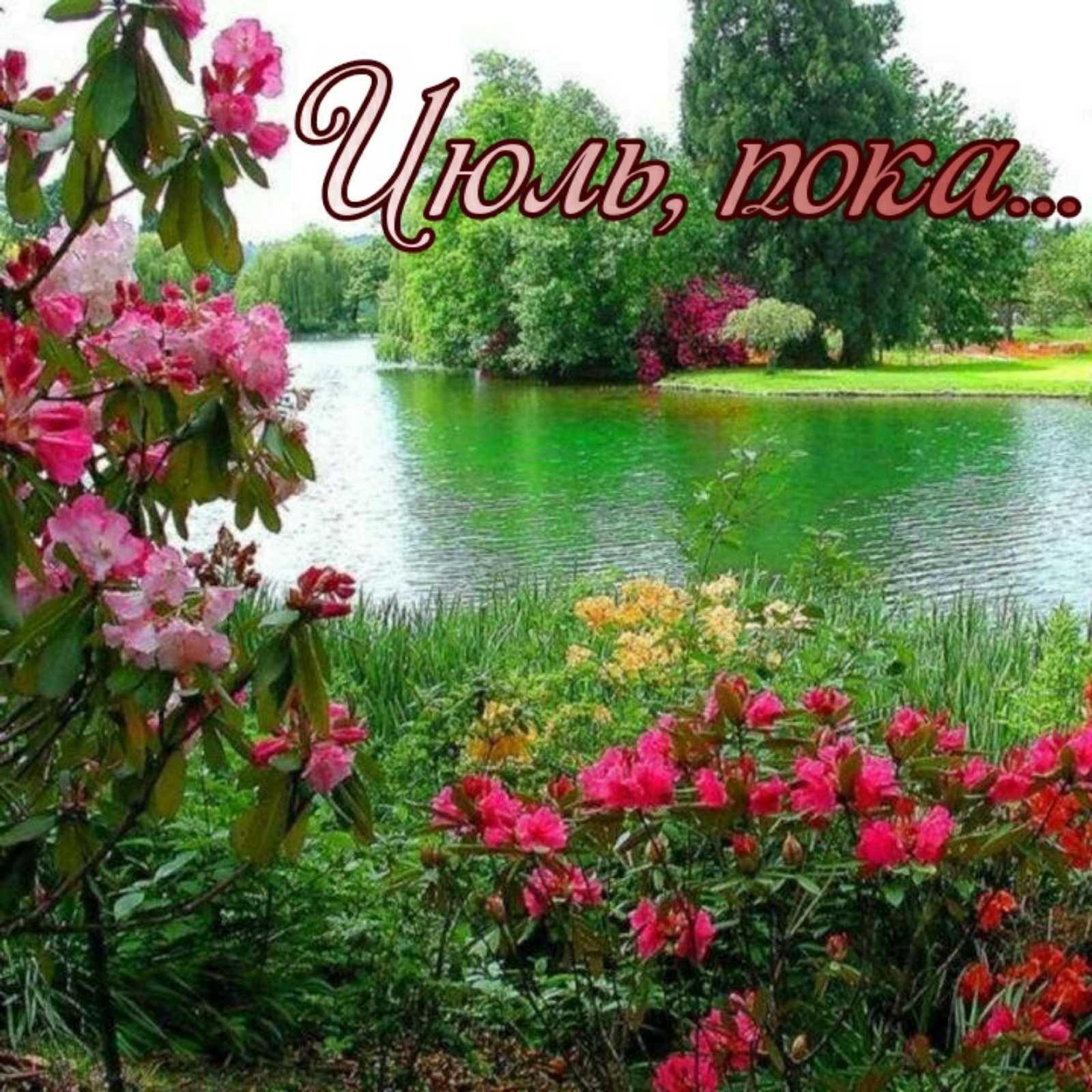 Лучшие короткие шутки в картинках для отличного дня! Лучшие короткие шутки в картинках для отличного дня!