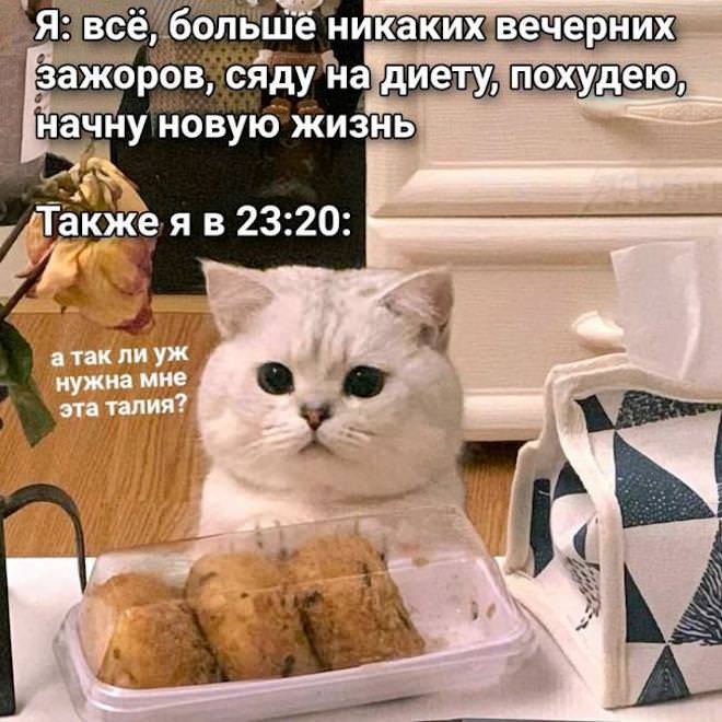 Смешные комментарии, которые словно острый соус приправляют сам пост Смешные комментарии, которые словно острый соус приправляют сам пост