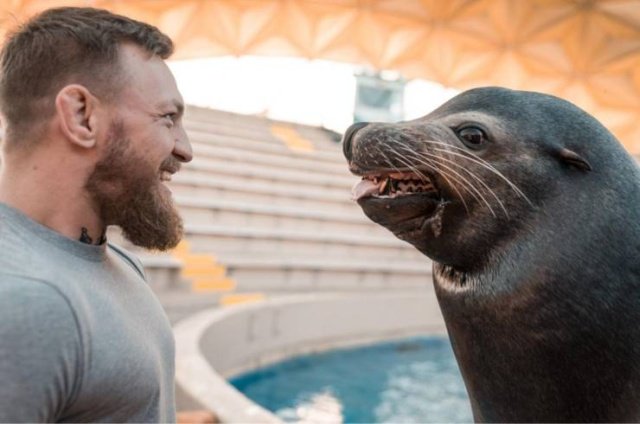 Фотоподборка среды Фотоподборка среды