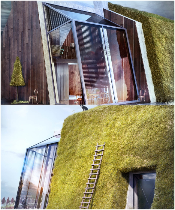 Часть дома покрыта травой, что позволяет создать не только оригинальный экстерьер, но и энергоэффективное жилье (концепт Karina Wiciak). | Фото: instagram.com/ wamhouse.