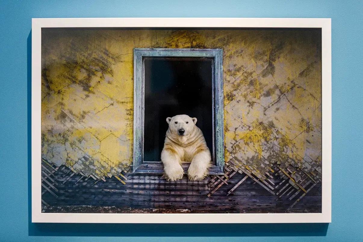 Афиша: куда сходить с детьми — ярмарка искусства, ледовое шоу, премьера фильма «Крылья любви» и другие события весны искусства, который, будет, будут, работы, экспозиции, представлены, живопись, современного, проекта, становится, между, познакомиться, Олимпийских, программа, Третьяковской, участие, детей, более, смогут