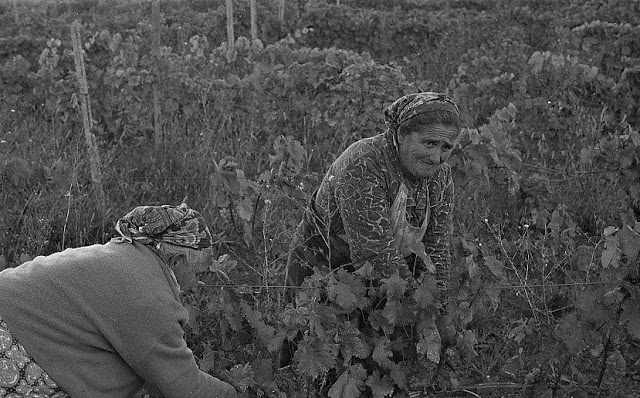 Повседневная жизнь в советской Грузии 1976 года в фотографиях шведского фотографа Грузия,история