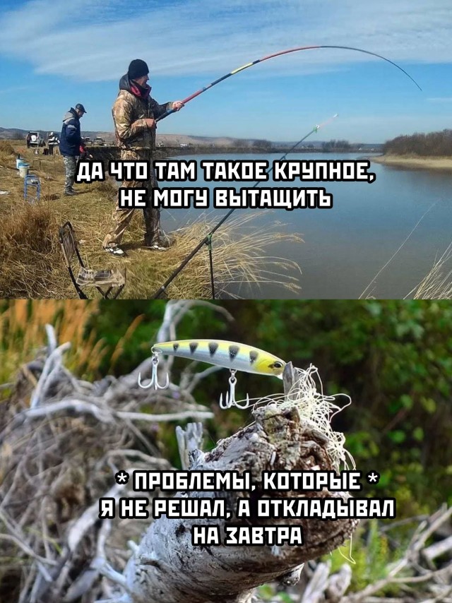 Подборка прикольных картинок  приколы,смешные картинки,юмор