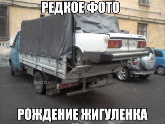 Сборная юмора для позитивного дня Сборная юмора для позитивного дня