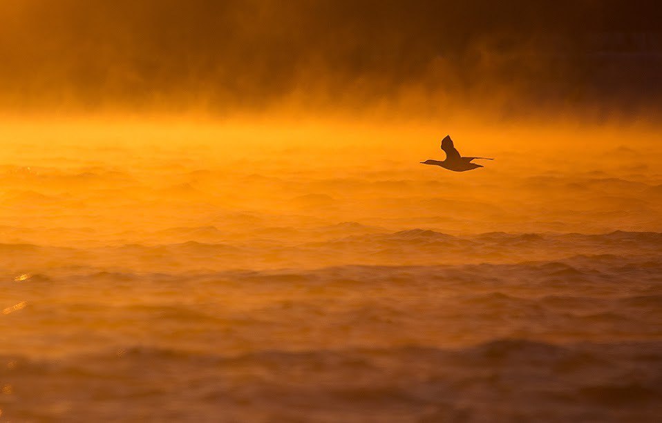 Прикольные и веселые фотографии для улыбки Прикольные и веселые фотографии для улыбки