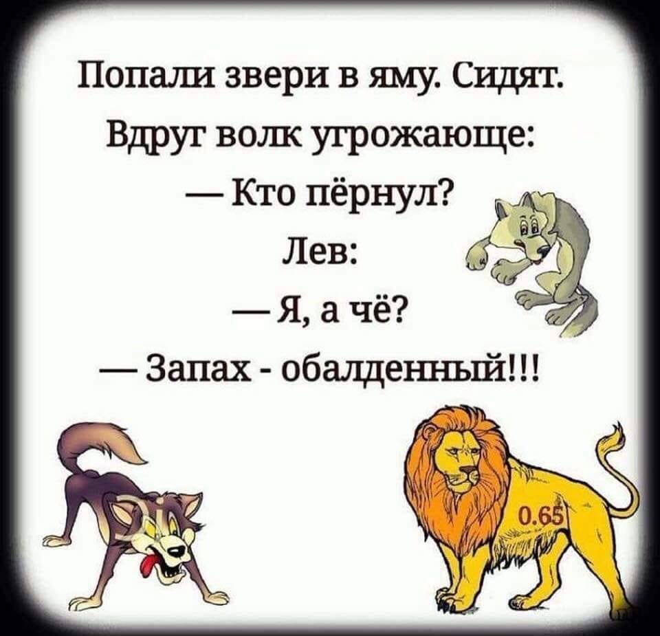 Идет красная шапка по лесу с пирожками, присела отдохнуть, останавливается машина, выходит волк… Юмор,картинки приколы,приколы,приколы 2019,приколы про