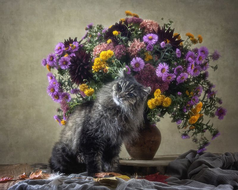 Сидела кошечка в окошке, встречала теплую весну. Натюрморты Ирины Приходько Фотография